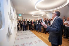 Künstler Roland Heini erläutert sein Wandrelief.