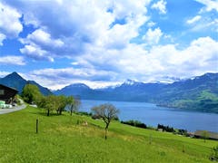 Herrliche Aussicht auf den Vierwaldstättersee und die Berge. (Bild: Urs Gutfleisch, Ennetbürgen, 14. Mai 2019)