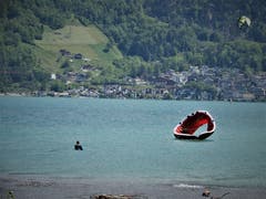 Aller Anfang ist schwer. Hinfallen ist möglich, aufstehen aber auch! Aufgenommen am wunderschönen Urnersee. (Bild: Margrith Imhof-Röthlin, Isleten, 23. Mai 2019)