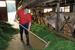 6.00 Uhr: Marcel Eggler erledigt zügig die morgendlichen Stallarbeiten.