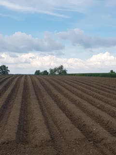 Himmel und Erde in Heldswil (Bild: Reto Schlegel)
