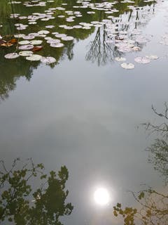 Die Sonne im Wasser. (Bild: Reto Schlegel)