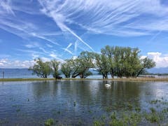 Land unter am Bodensee. (Bild: Toni Sieber)