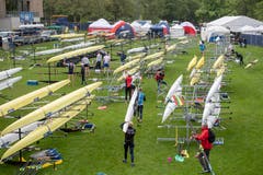 Überblick über den Bootsplatz. (Bild: Urs Flüeler / Keystone, Luzern, 29. Mai 2019)