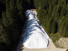 Am Rande des Risoud-Waldes wird der Schnee bis zum nächsten Winter gelagert. (Bild: Keystone/JEAN-CHRISTOPHE BOTT)
