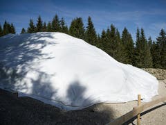 Der neun Meter hohe, weisse Hügel inmitten eines grünen Fichtenwaldes bietet dem Besucher ein seltsames Bild. (Bild: Keystone/JEAN-CHRISTOPHE BOTT)