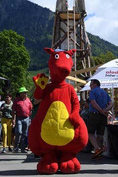 Impressionen von der Iheimisch. (Bild: Nadia Schärli/Luzerner Zeitung, 30. Mai 2019)