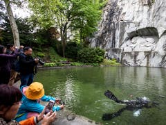 Für viele Touristen ein beliebtes Fotosujet: Die Unterwasserfotografin Heidi Hostettler testet ihren Tauchgang im Teich vor dem Luzerner Löwendenkmal. (Bild: KEYSTONE/ALEXANDRA WEY)