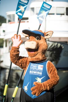 Luzern heisst Europas Ruder-Eliten willkommen – hier das Maskottchen Rowsy. (Bild: Manuela Jans-Koch/Luzerner Zeitung, Luzern, 30. Mai 2019)