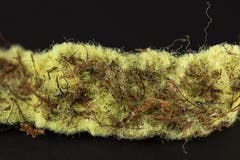 Eine Auswahl der am Strand von Mothecombe gefundenen Gegenstände. (Bild: Dan Kitwood/Getty, 31. Mai 2019)