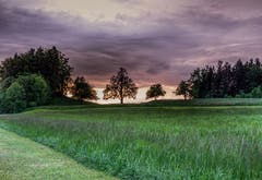 Abendliche Aufhellungen über dem Thurgau, Mutwil Tobel bei Niederbüren. (Bild: Luciano Pau)