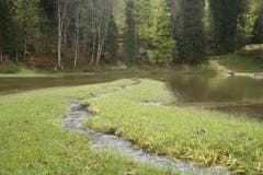Der kleine See beim Käppeli zwischen Brünig und Lungern. (Bild: Bruno Ringgenberg, Brünig-Lungern, 4. Mai 2019)