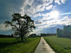 Morgenstimmung mit einigen Sonnenstrahlen - bevor der Regen kommt. (Bild: Urs Gutfleisch, 4. Mai 2019)