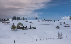 Weisser Frühling in Herisau (Bild: Luciano Pau)
