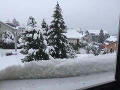 Marion Molnar fotografierte den Neuschnee im St.Galler Heiligkreuz-Quartier.
