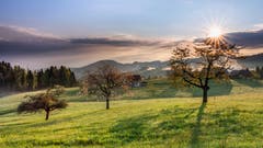 Sonnenaufgang beim Steblen Herisau. (Bild: Luciano Pau)