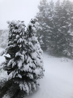 Schneeschaufeln statt Rasenmähen in St. Gallen-Oberhofstetten. (Bild: Nicola Zoller)