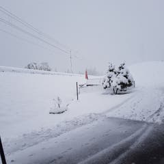 Schnee in Waldstatt: Geschaufelt und nicht-geschaufelt. (Bild: Jeannine Hengartner)