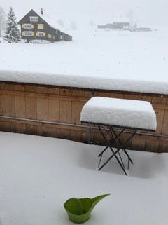 Giesskanne im Frühling in Nesslau. (Bild: Jasmin Blunier)