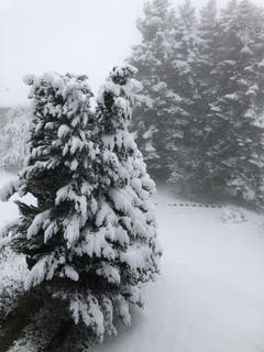 «Schneeschaufeln statt Rasenmähen» schreibt Leserin Nicola Zoller zu ihrem Bild aus dem St.Galler Oberhofstetten-Quartier.