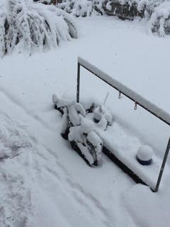Auch in St.Georgen sind die Gärten weiss. (Bild: Ursula Büchler)