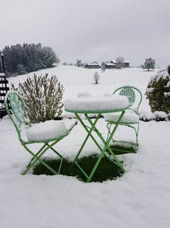 (Bild: Leonz Eder)