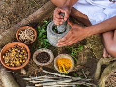 In den Bericht des IPBES ist auch das Wissen indigener und lokaler Gemeinschaften eingeflossen. Diese zeigen beispielhaft, wie eine nachhaltige Nutzung der Natur funktionieren kann - ein Leben mit der Natur und nicht auf ihre Kosten. (Bild: Nila Newsom/Shutterstock.com)