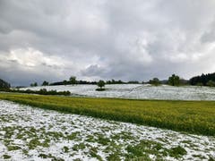 Die Vielfalt der Jahreszeiten bei Wilen-Gottshaus. (Bild: Renate Wachsmuth)