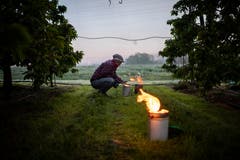 Ob die Feuer entfacht werden, entscheidet sich kurzfristig. Eine Kerze kostet rund 15 Franken und oft werden Hunderte davon angezündet.» Es geht also noch schnell mal sehr viel Geld in Flammen auf. (Bild: Gian Ehrenzeller/Keystone, Opfershofen, 7. Mai 2019)