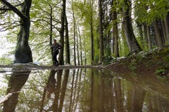 Erinnerungen ans vergangene Wochenende: Eine Joggerin auf einem Waldweg im Peter-und-Paul-Wald. (Leserbild: Ueli Bächtold - 5. Mai 2019)
