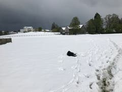 Das Kinderfest ist bis auf weiteres verschoben... Wintereinbruch auf der Kinderfestwiese. (Bild: Doris Königer)