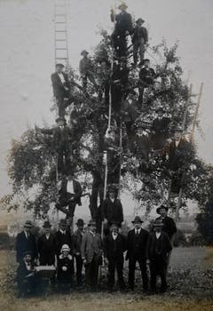 Obstbauverein Sursee und Umgebung 1922. (Bild: Archiv Franz Tschopp/ Gemeinde Mauensee)