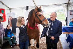 Alt Bundesrat Johann Schneider-Ammann bei der Übergabe des Freiberger-Wallachs Voltéro an Natascha Mächler vom Reitstall Rathausen. (Bild: Jakob Ineichen, Rathausen, 8. Mai 2019)