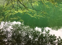 Spiegelei am alten Rhein. (Bild: Toni Sieber)