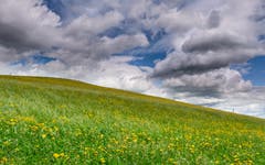 Wolken über Herisau kommen, gehen und bleiben. (Bild: Luciano Pau)