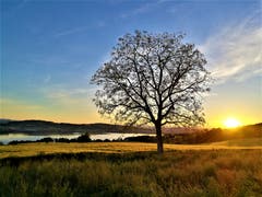 Ein traumhafter Sonnenuntergang mit Ausblick auf den Sempachersee. (Bild: Urs Gutfleisch, Sempach, 1. Juni 2019)