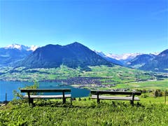 Traumhaftes Sommerwetter mit herrlicher Aussicht auf den Vierwaldstättersee und die Berge. (Bild: Urs Gutfleisch, Bürgenstock, 1. Juni 2019)