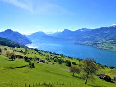 Traumhafte Aussicht auf den Vierwaldstättersee und die Berge. (Bild: Urs Gutfleisch, Bürgenstock, 1. Juni 2019)