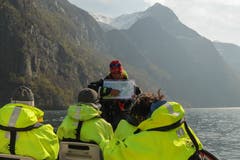 Auf Fjord-Safari.