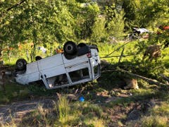 Fahrer und Beifahrer des Lieferwagens wurden schwer verletzt. Einige Schafe wurden beim Unfall getötet. (Bild: Kantonspolizei Wallis)