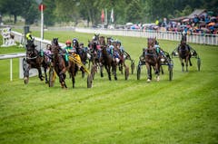Pfingstrennen 2019 auf der Pferderennbahn in Frauenfeld. (Bilder: Reto Martin)