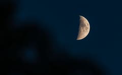 Mond am Abendhimmel. (Bild: Daniel Hegglin, Zugerberg, 9. Juni 2019)