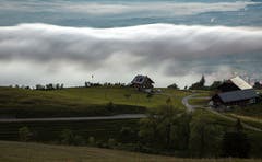 Nebelschwaden auf dem Zugerberg. (Bild: Daniel Hegglin, Zugerberg, 9. Juni 2019)