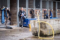 Pfingstrennen 2019 auf der Pferderennbahn in Frauenfeld. (Bilder: Reto Martin)