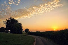 Sonnenaufgang im Rheindelta. (Bild: Toni Sieber)