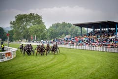 Pfingstrennen 2019 auf der Pferderennbahn in Frauenfeld. (Bilder: Reto Martin)