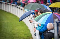 Pfingstrennen 2019 auf der Pferderennbahn in Frauenfeld. (Bilder: Reto Martin)