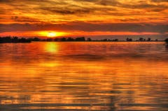 Der Sonnenuntergang bei der Rheinmündung ist fast wie flüssiges Gold. (Bild: Toni Sieber)