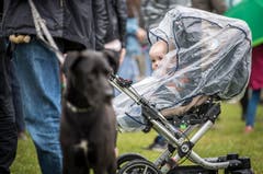 Pfingstrennen 2019 auf der Pferderennbahn in Frauenfeld. (Bilder: Reto Martin)