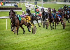 Pfingstrennen 2019 auf der Pferderennbahn in Frauenfeld. (Bilder: Reto Martin)